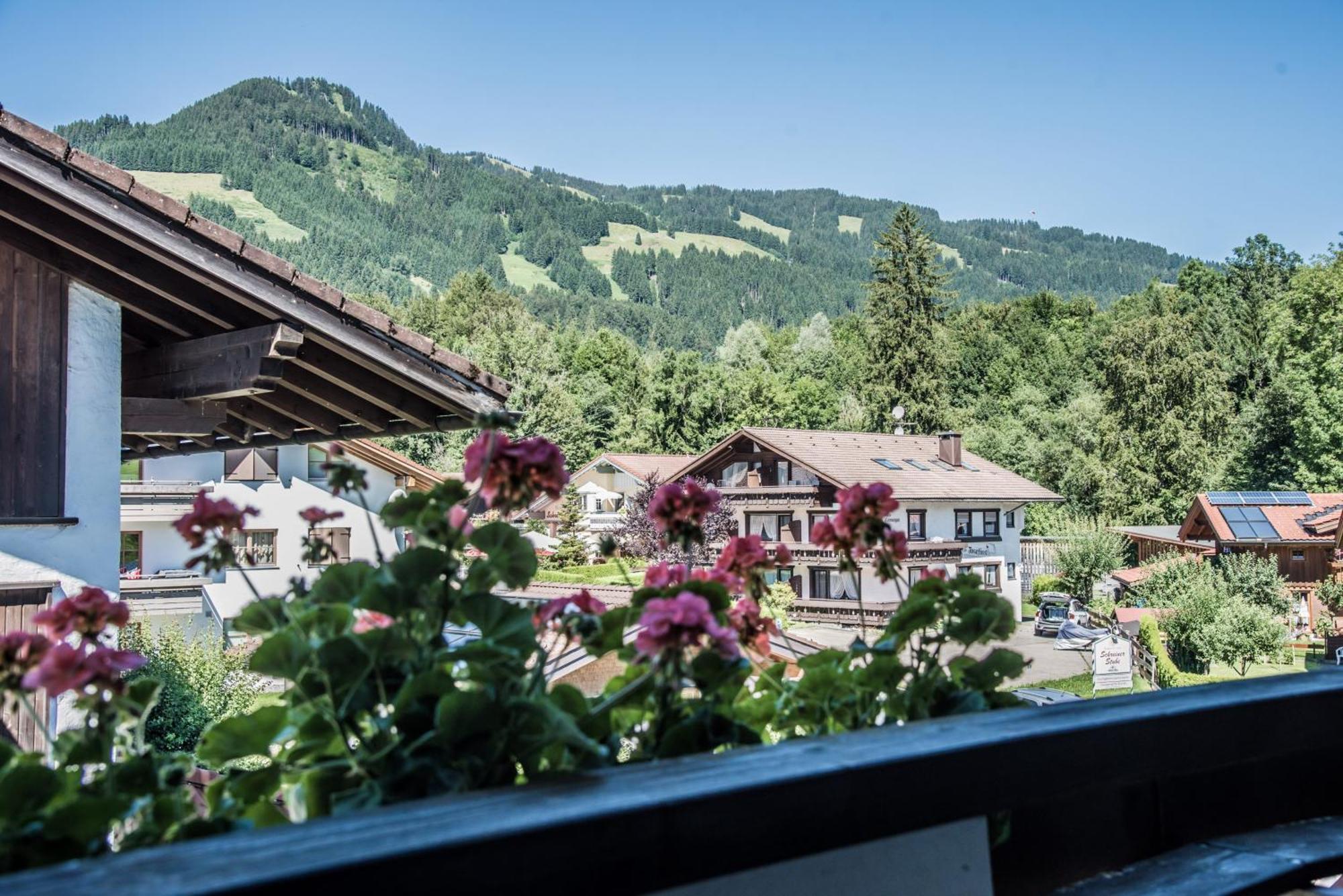 Haus Susanne - Top-Ferienwohnungen - Sommer-Bergbahn Inklusive Обермайзельштайн Экстерьер фото