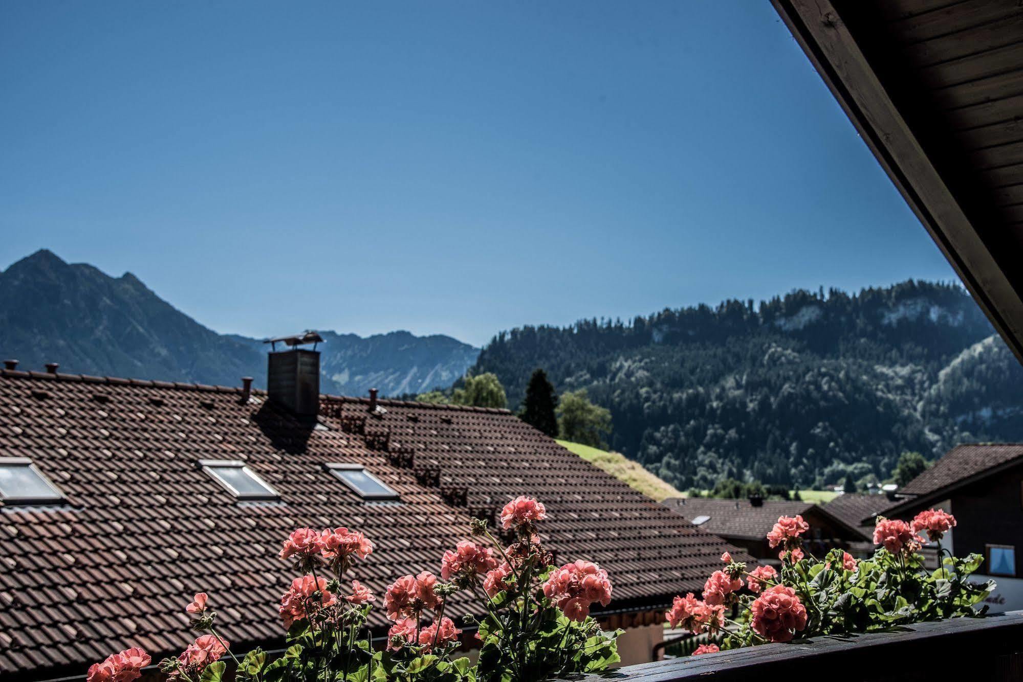 Haus Susanne - Top-Ferienwohnungen - Sommer-Bergbahn Inklusive Обермайзельштайн Экстерьер фото
